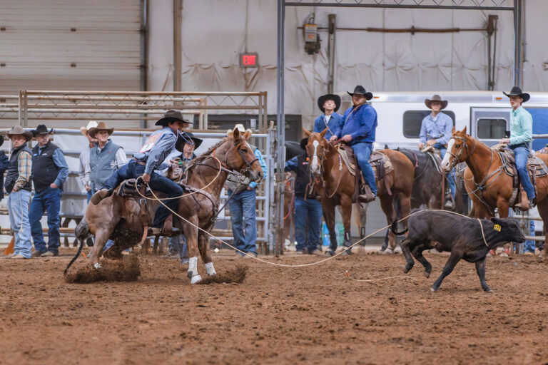 Um Rodeo United Rodeo Association